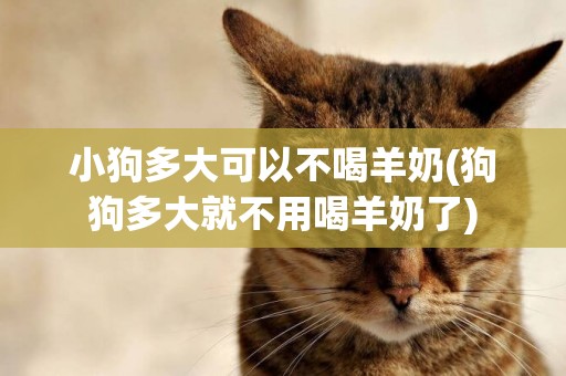 小狗多大可以不喝羊奶(狗狗多大就不用喝羊奶了)