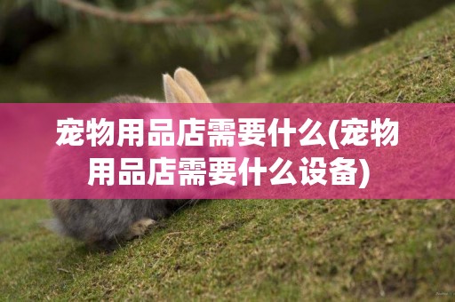 寵物用品店需要什么(寵物用品店需要什么設備)