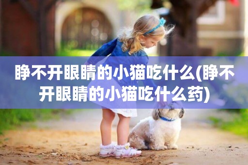 睜不開眼睛的小貓吃什么(睜不開眼睛的小貓吃什么藥)
