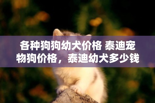 各種狗狗幼犬價格 泰迪寵物狗價格，泰迪幼犬多少錢一只？ 