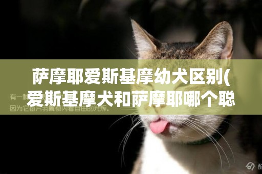 薩摩耶愛斯基摩幼犬區別(愛斯基摩犬和薩摩耶哪個聰明)