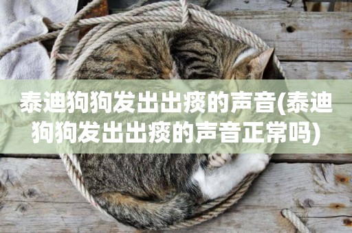 泰迪狗狗發出出痰的聲音(泰迪狗狗發出出痰的聲音正常嗎)