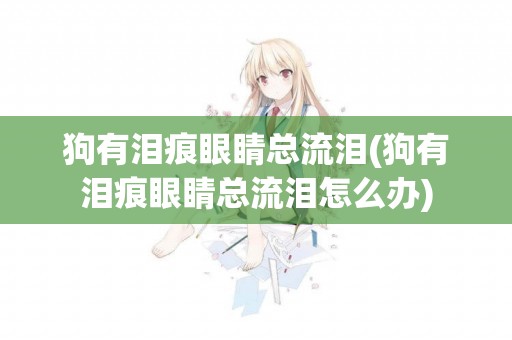 狗有淚痕眼睛總流淚(狗有淚痕眼睛總流淚怎么辦)