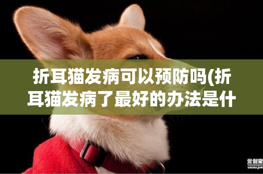 折耳貓發病可以預防嗎(折耳貓發病了最好的辦法是什么)