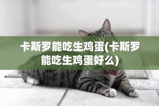 卡斯羅能吃生雞蛋(卡斯羅能吃生雞蛋好么)