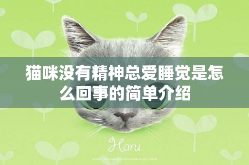 貓咪沒有精神總愛睡覺是怎么回事的簡單介紹