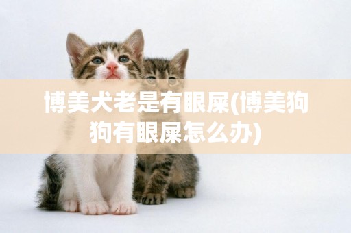 博美犬老是有眼屎(博美狗狗有眼屎怎么辦)