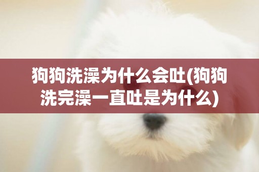 狗狗洗澡為什么會吐(狗狗洗完澡一直吐是為什么)