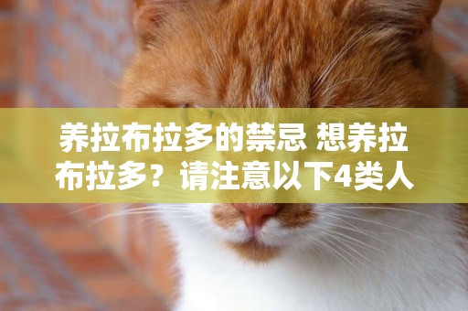 養拉布拉多的禁忌 想養拉布拉多？請注意以下4類人 