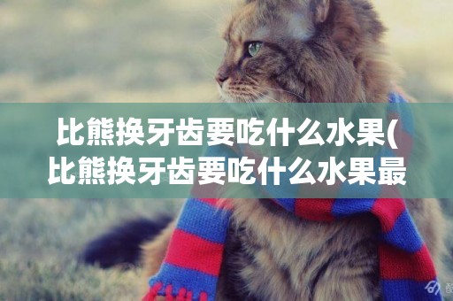 比熊換牙齒要吃什么水果(比熊換牙齒要吃什么水果最好)