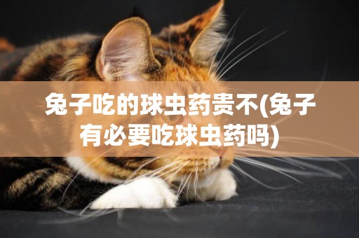 兔子吃的球蟲藥貴不(兔子有必要吃球蟲藥嗎)