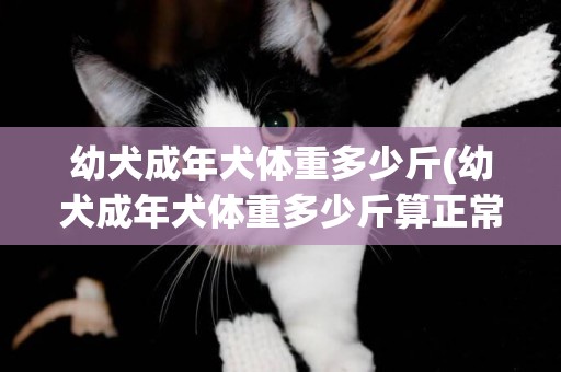 幼犬成年犬體重多少斤(幼犬成年犬體重多少斤算正常)