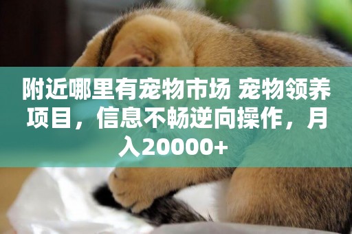 附近哪里有寵物市場 寵物領養項目，信息不暢逆向操作，月入20000+ 
