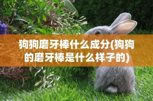 狗狗磨牙棒什么成分(狗狗的磨牙棒是什么樣子的)