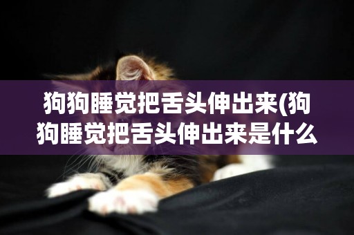 狗狗睡覺把舌頭伸出來(狗狗睡覺把舌頭伸出來是什么原因)