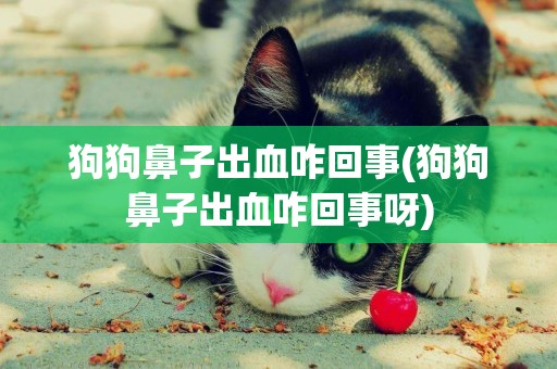 狗狗鼻子出血咋回事(狗狗鼻子出血咋回事呀)