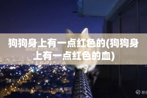 狗狗身上有一點紅色的(狗狗身上有一點紅色的血)