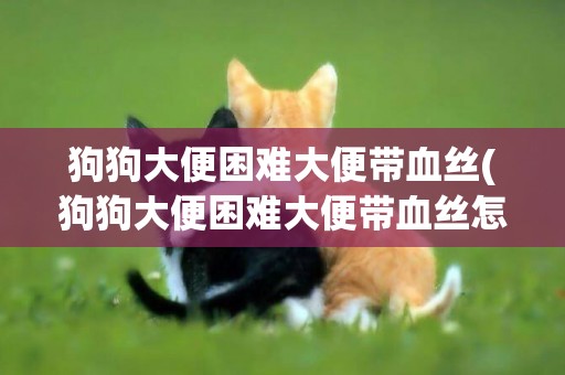 狗狗大便困難大便帶血絲(狗狗大便困難大便帶血絲怎么回事)