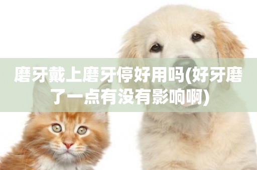 磨牙戴上磨牙停好用嗎(好牙磨了一點有沒有影響啊)