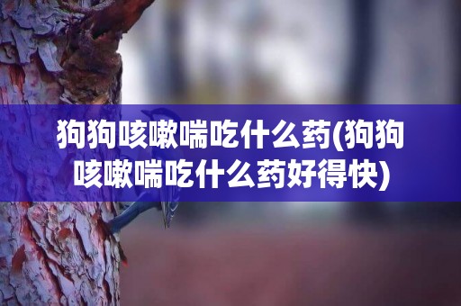 狗狗咳嗽喘吃什么藥(狗狗咳嗽喘吃什么藥好得快)
