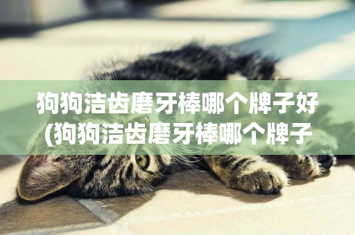 狗狗潔齒磨牙棒哪個牌子好(狗狗潔齒磨牙棒哪個牌子好用)