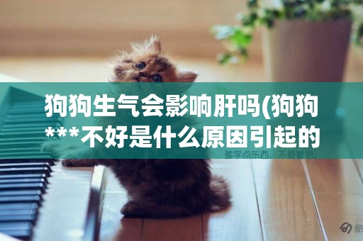 狗狗生氣會影響肝嗎(狗狗***不好是什么原因引起的)