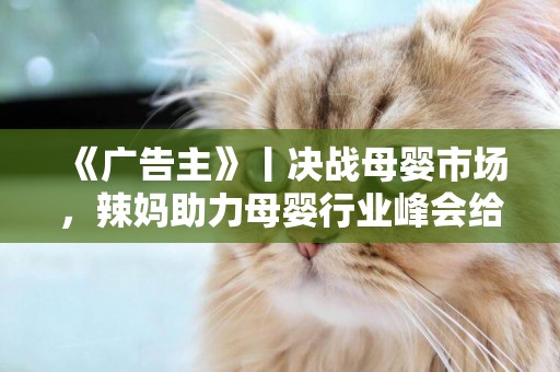 《廣告主》丨決戰母嬰市場，辣媽助力母嬰行業峰會給出營銷秘訣 