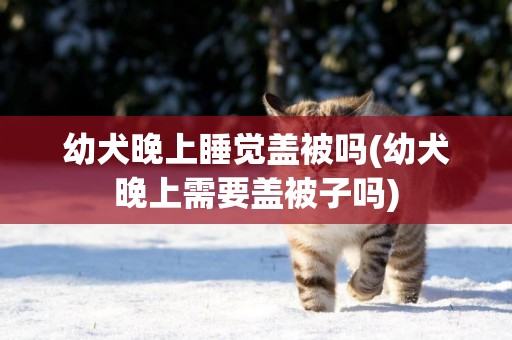 幼犬晚上睡覺蓋被嗎(幼犬晚上需要蓋被子嗎)