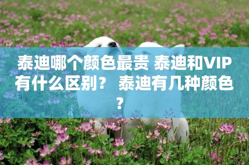 泰迪哪個顏色最貴 泰迪和VIP有什么區別？ 泰迪有幾種顏色？ 