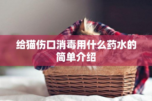 給貓傷口消毒用什么藥水的簡單介紹
