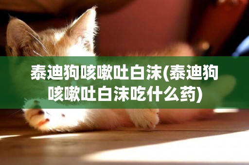 泰迪狗咳嗽吐白沫(泰迪狗咳嗽吐白沫吃什么藥)