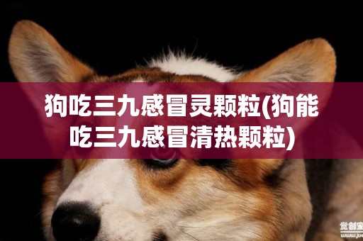 狗吃三九感冒靈顆粒(狗能吃三九感冒清熱顆粒)