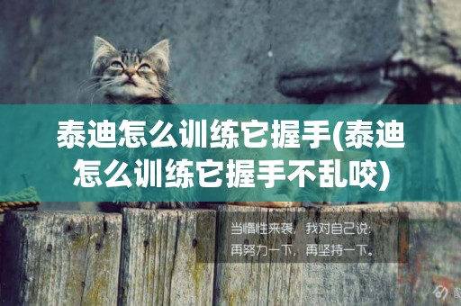 泰迪怎么訓練它握手(泰迪怎么訓練它握手不亂咬)