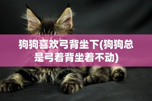狗狗喜歡弓背坐下(狗狗總是弓著背坐著不動)