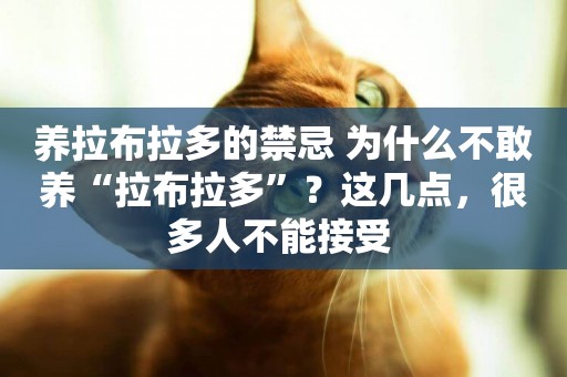 養拉布拉多的禁忌 為什么不敢養“拉布拉多”？這幾點，很多人不能接受 