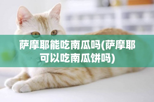 薩摩耶能吃南瓜嗎(薩摩耶可以吃南瓜餅嗎)