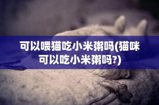 可以喂貓吃小米粥嗎(貓咪可以吃小米粥嗎?)