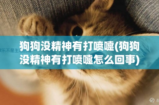 狗狗沒精神有打噴嚏(狗狗沒精神有打噴嚏怎么回事)