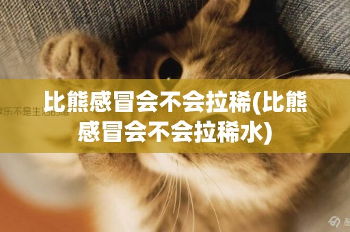 比熊感冒會不會拉稀(比熊感冒會不會拉稀水)