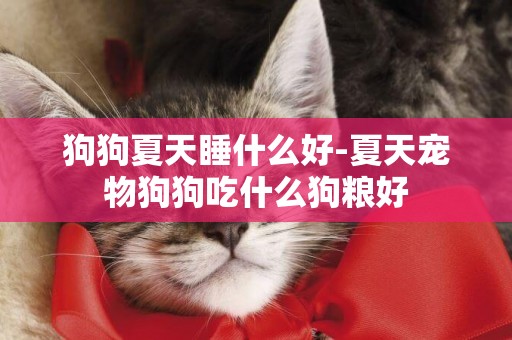 狗狗夏天睡什么好-夏天寵物狗狗吃什么狗糧好