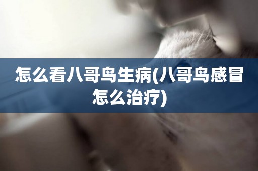 怎么看八哥鳥生病(八哥鳥感冒怎么治療)