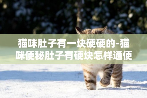 貓咪肚子有一塊硬硬的-貓咪便秘肚子有硬塊怎樣通便