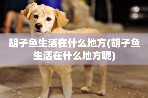 胡子魚生活在什么地方(胡子魚生活在什么地方呢)