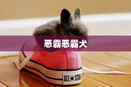 惡霸惡霸犬