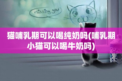 貓哺乳期可以喝純奶嗎(哺乳期小貓可以喝牛奶嗎)