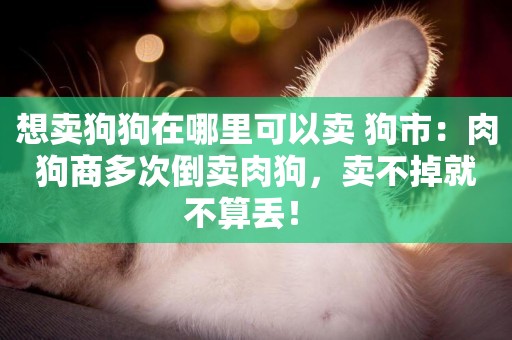 想賣狗狗在哪里可以賣 狗市：肉狗商多次倒賣肉狗，賣不掉就不算丟！ 