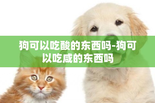狗可以吃酸的東西嗎-狗可以吃咸的東西嗎