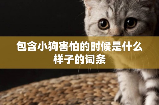 包含小狗害怕的時候是什么樣子的詞條