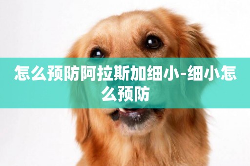 怎么預防阿拉斯加細小-細小怎么預防