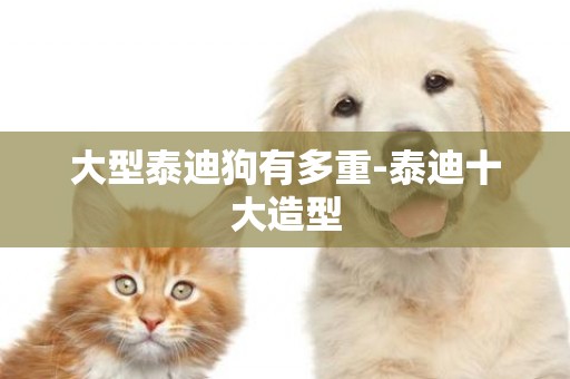 大型泰迪狗有多重-泰迪十大造型